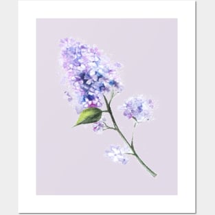 Lilac Flower Twig Posters and Art